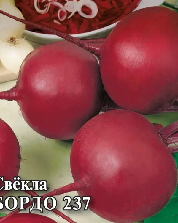 Семена Свекла Бордо 237 25,0 г (Гавриш)