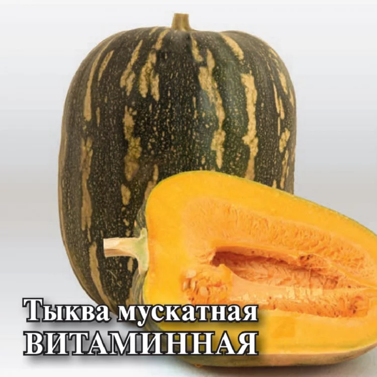 10005469 Семена Тыква Витаминная, мускатная 25,0 г (Гавриш)