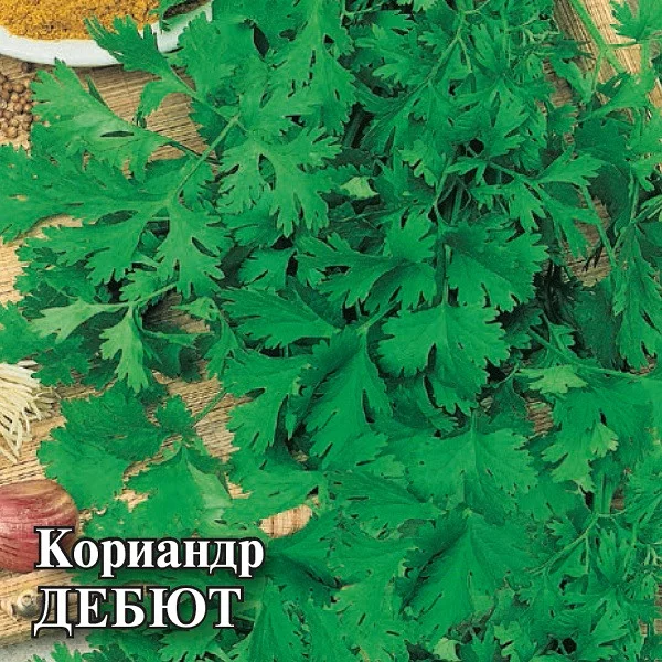 Семена Кориандр Дебют 25,0 г (Гавриш)