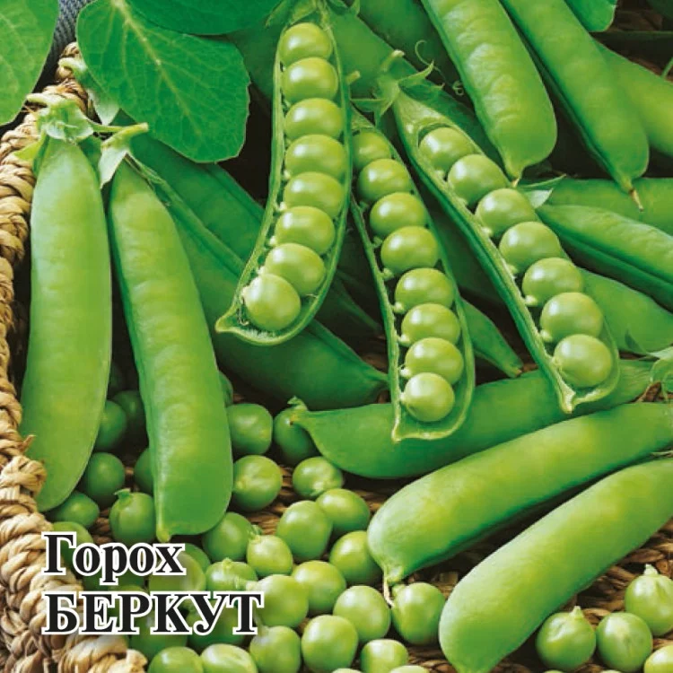 Семена Горох овощной Беркут 50,0 г (Гавриш)