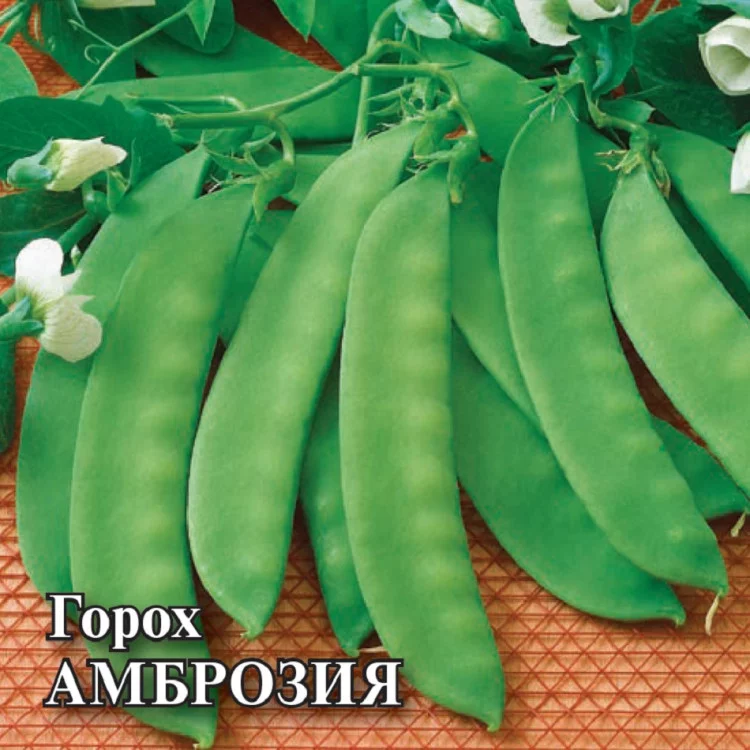10005944 Семена Горох овощной Амброзия 50,0 г (Гавриш)