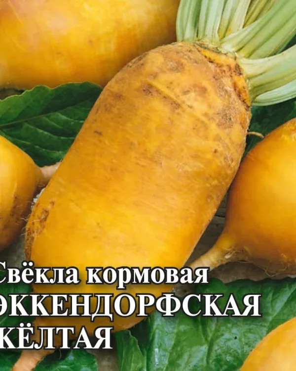 Семена Свекла Эккендорфская  желтая кормовая 20,0 г (Гавриш)