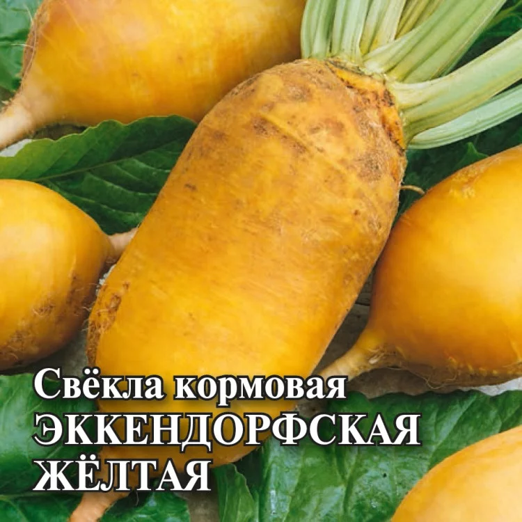 Семена Свекла Эккендорфская  желтая кормовая 20,0 г (Гавриш)