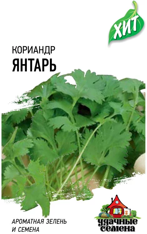 Семена Кориандр Янтарь 2,0 г ХИТ х3 (Гавриш)