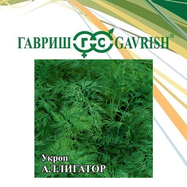 10007487 Семена Укроп Аллигатор 50,0 г (Гавриш)