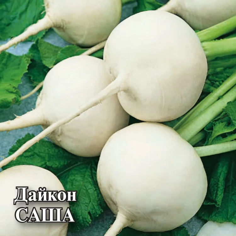 1026996708 Семена Дайкон Саша 10,0 г (Гавриш)