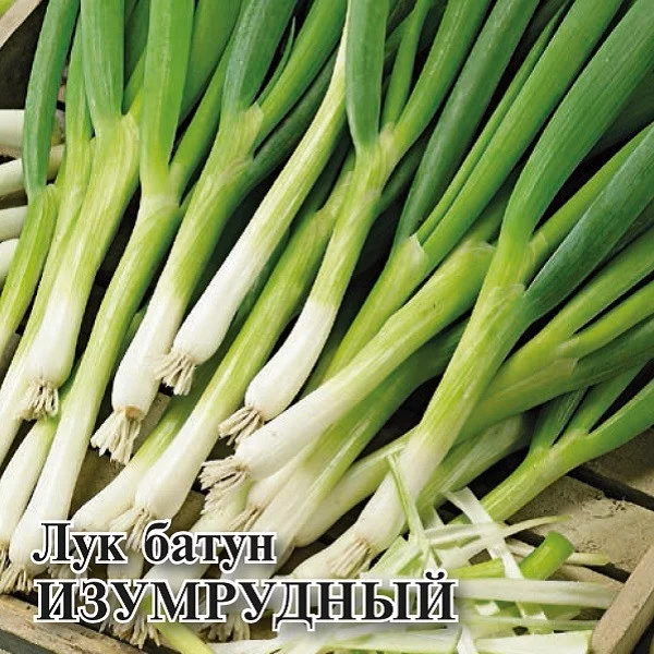 Семена Лук батун Изумрудный, на зелень 10,0 г (Гавриш)