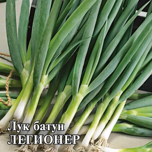 Семена Лук батун Легионер 10,0 г (Гавриш)