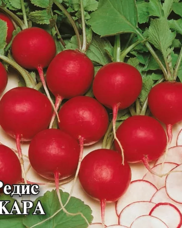 Семена Редис Жара 25,0 г (Гавриш)