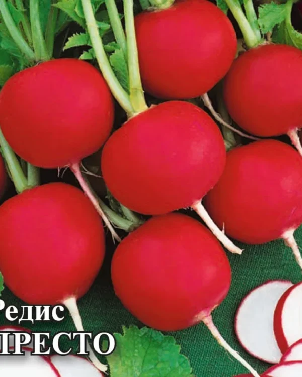 Семена Редис Престо 25,0 г (Гавриш)