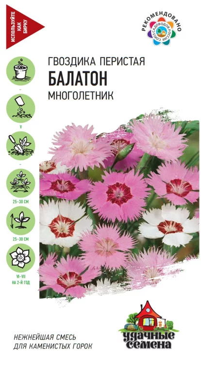 Семена Гвоздика перистая Балатон Гавриш, смесь 0, 0,1 г