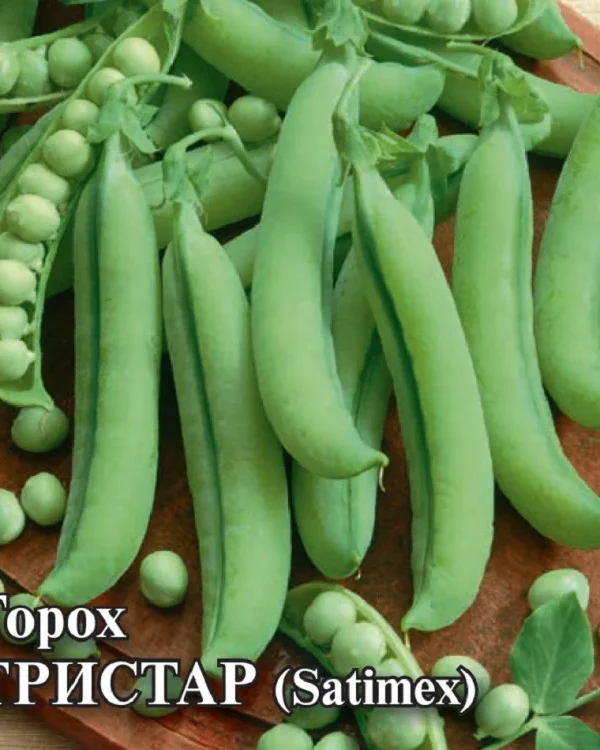 Семена Горох овощной Тристар 25,0 г (Голландия) (Гавриш)