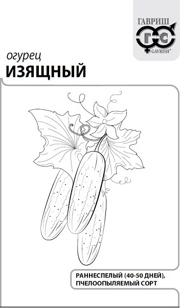 Семена Огурец Изящный 0,3 г ХИТ х3 (Гавриш)
