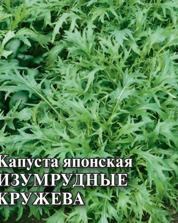 Семена Капуста японская Изумрудные кружева 10 г DH (Гавриш)