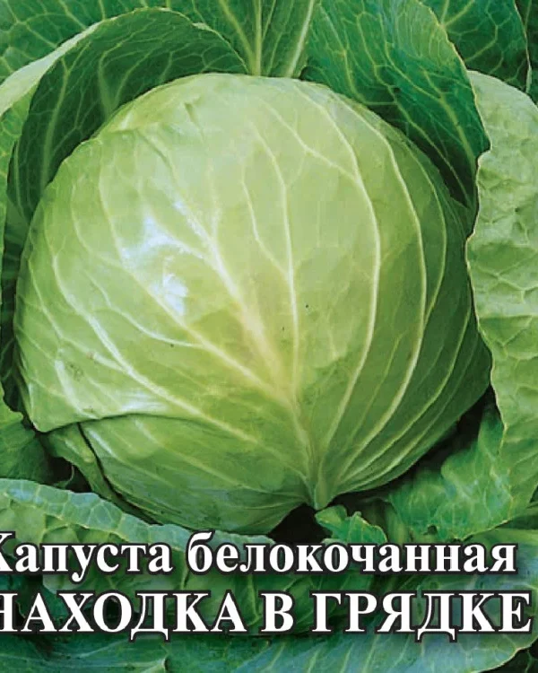 Семена Капуста белокоч. Находка в грядке 10 г автор. (Гавриш)