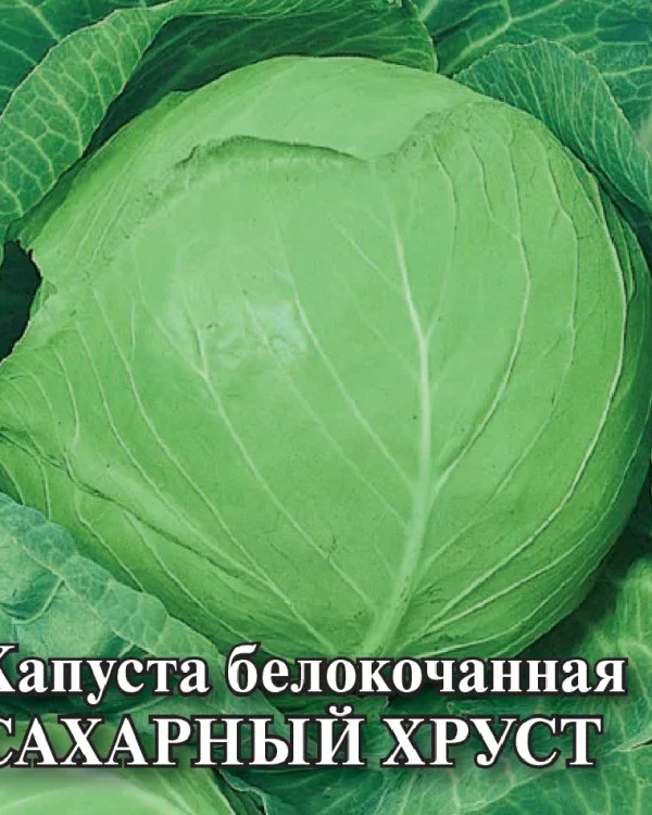 Семена Капуста белокоч. Сахарный хруст 10 г (ранняя) (Гавриш)