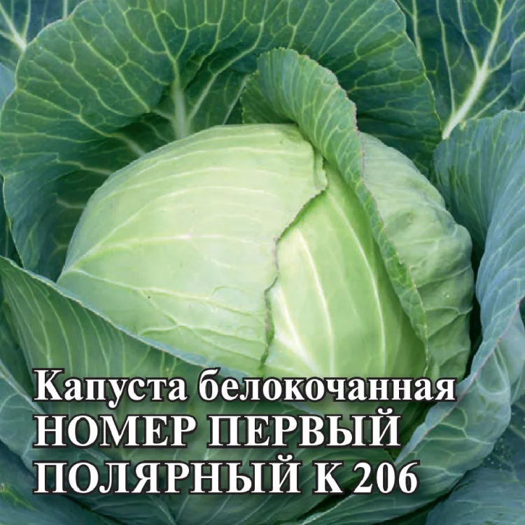 1071862931 Семена Капуста белокоч. Номер первый полярный К 206 10 г (ранняя) DH (Гавриш)