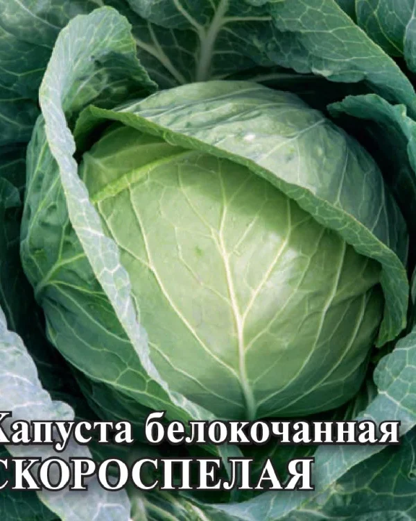 Семена Капуста белокоч. Скороспелая 10 г (ранняя) DH (Гавриш)