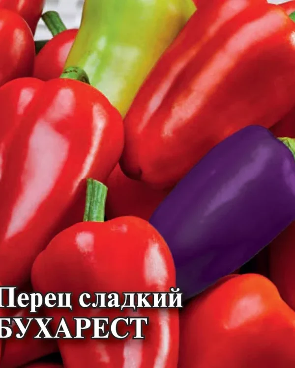 Семена Перец Бухарест 5,0 г (Гавриш)