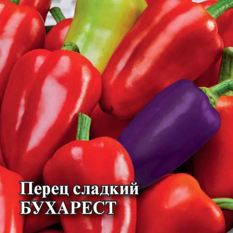 Семена Перец Бухарест 5,0 г (Гавриш)