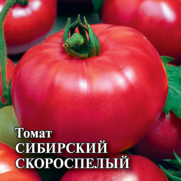 1081860116 Семена Томат Сибирский скороспелый 5,0 г (Гавриш)