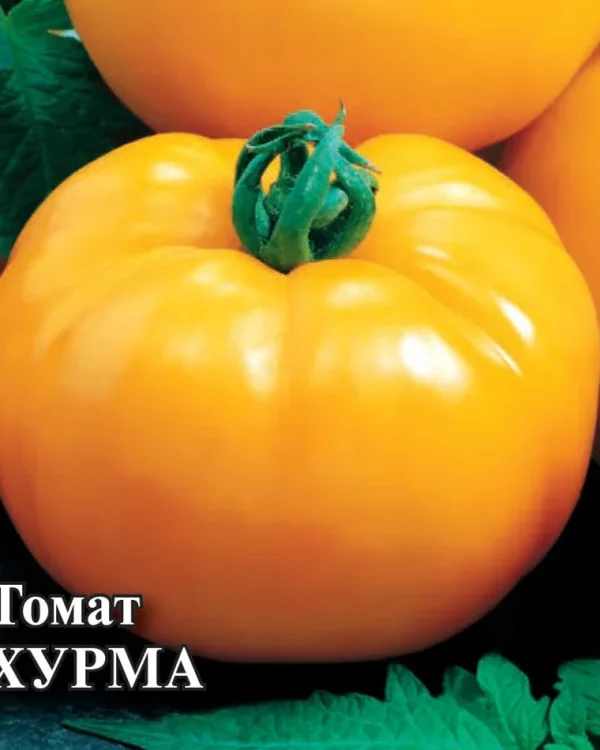 Семена Томат Хурма 5,0 г (Гавриш)