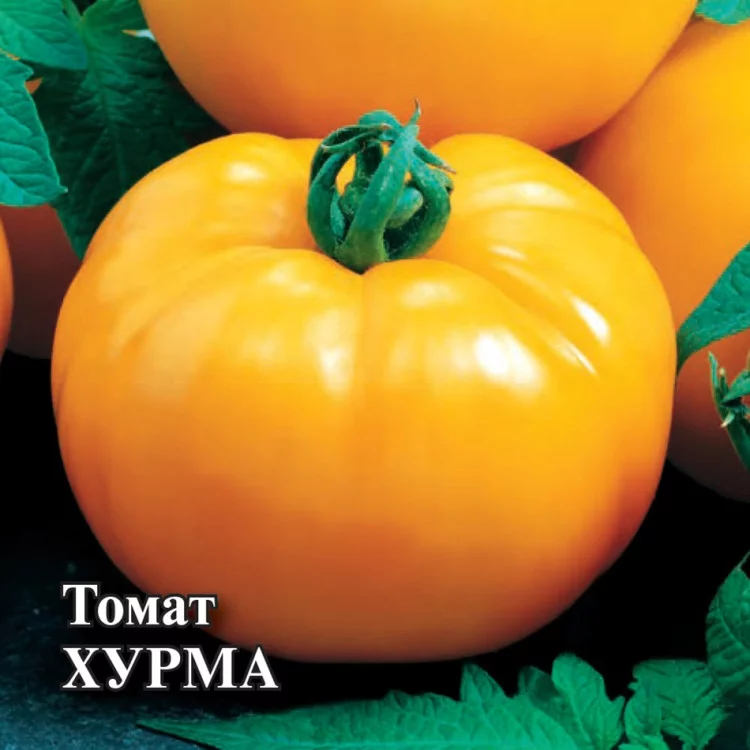 Семена Томат Хурма 5,0 г (Гавриш)