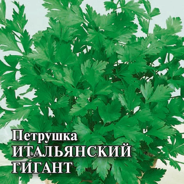 Семена Петрушка Обыкновенная листовая 25,0 г (Гавриш)