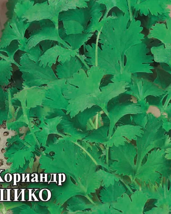 Семена Кориандр Шико 25,0 г (Гавриш)