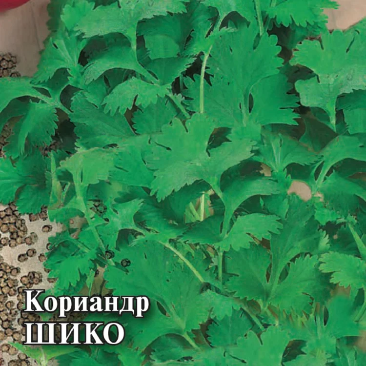 Семена Кориандр Шико 25,0 г (Гавриш)
