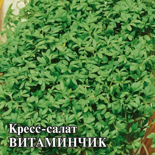 Семена Кресс-салат Витаминчик, ранний 25,0 г (Гавриш)