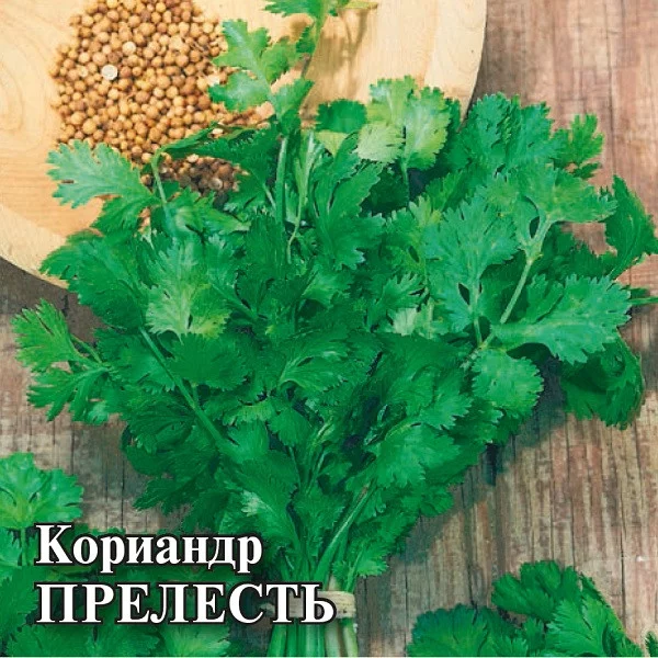 Семена Кориандр Прелесть 25,0 г (Гавриш)