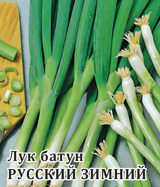 Семена Лук батун Русский зимний 10,0 г (Гавриш)