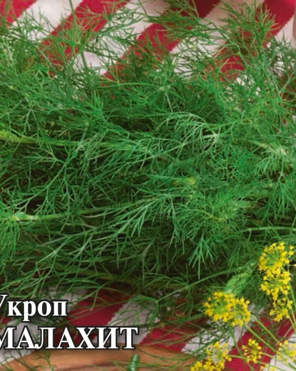 Семена Укроп Малахит  25,0 г (Гавриш)