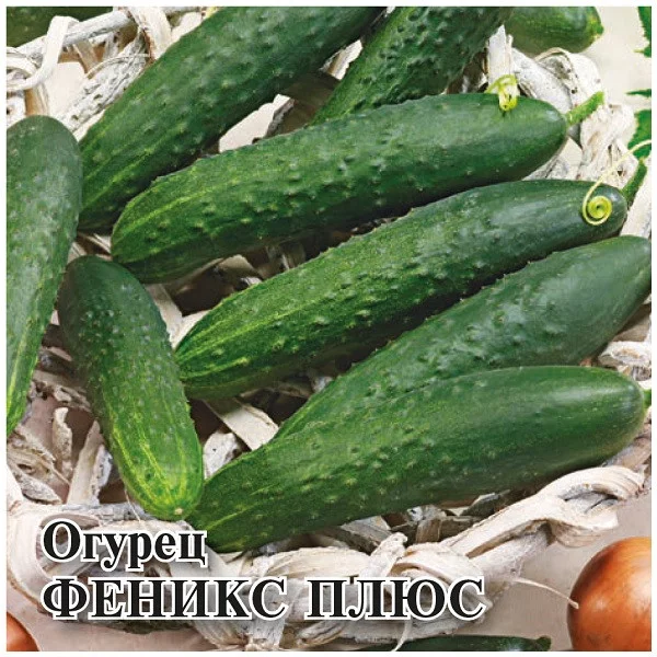 Семена Огурец Феникс плюс 10,0 г (Гавриш)