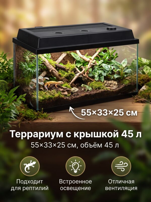 Террариум с крышкой 45 л, 55×33×25 см — карточка товара
