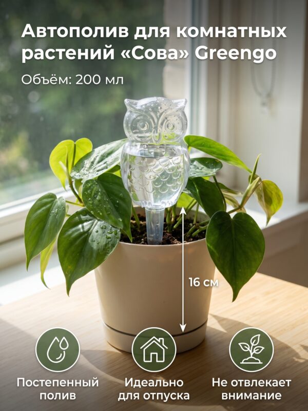 Автополив для комнатных растений «Сова» Greengo, 200 мл — карточка товара