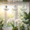 Опора для растений, пластиковая, для орхидей, прозрачная Опора для растений, пластиковая, для орхидей, прозрачная — карточка товара