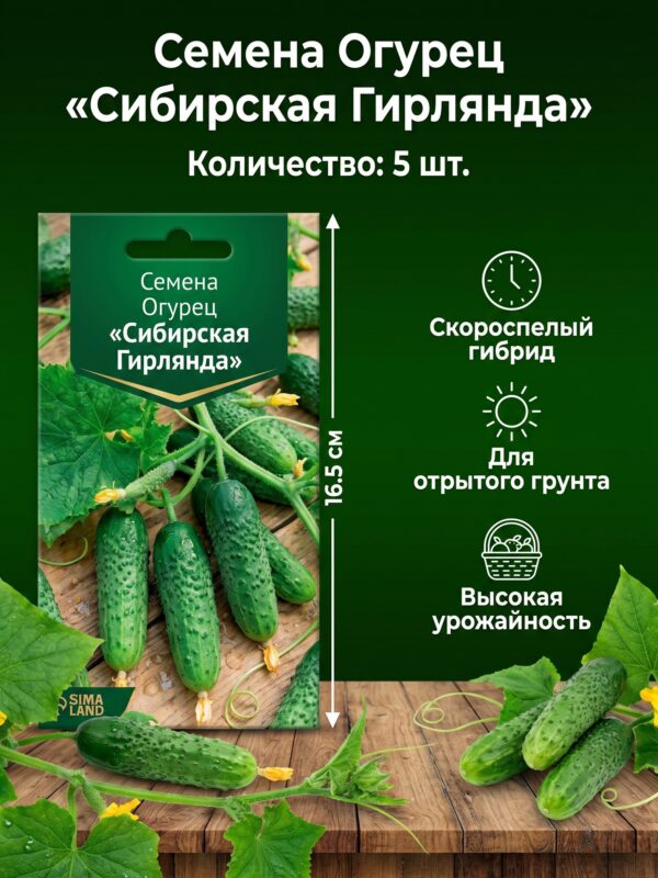 Семена Огурец «Сибирская Гирлянда», 5 шт — карточка товара