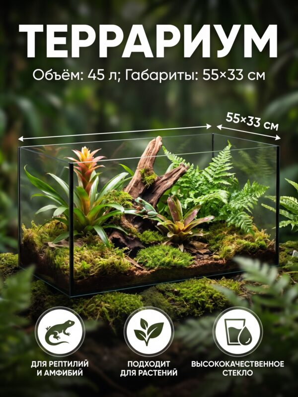 Террариум без крышки, 45 л, 55×33 см — карточка товара