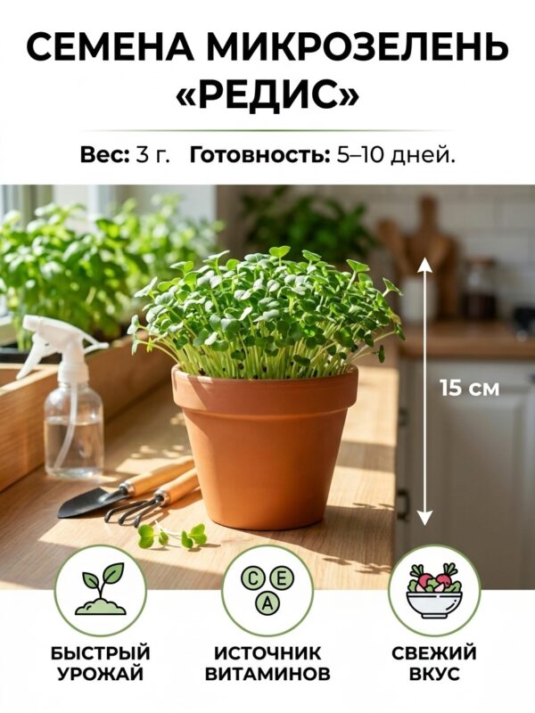 Семена микрозелень «Редис», 3 г — карточка товара