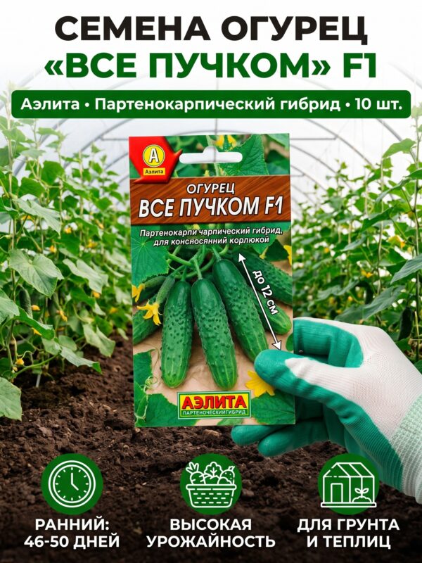 Семена Огурец «Все пучком» Аэлита, 10 шт Семена Огурец «Все пучком» Аэлита, 10 шт — карточка товара