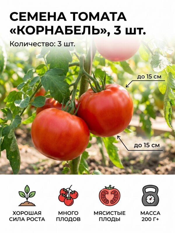 Семена Томата «Корнабель», 3 шт Семена Томата «Корнабель», 3 шт — карточка товара