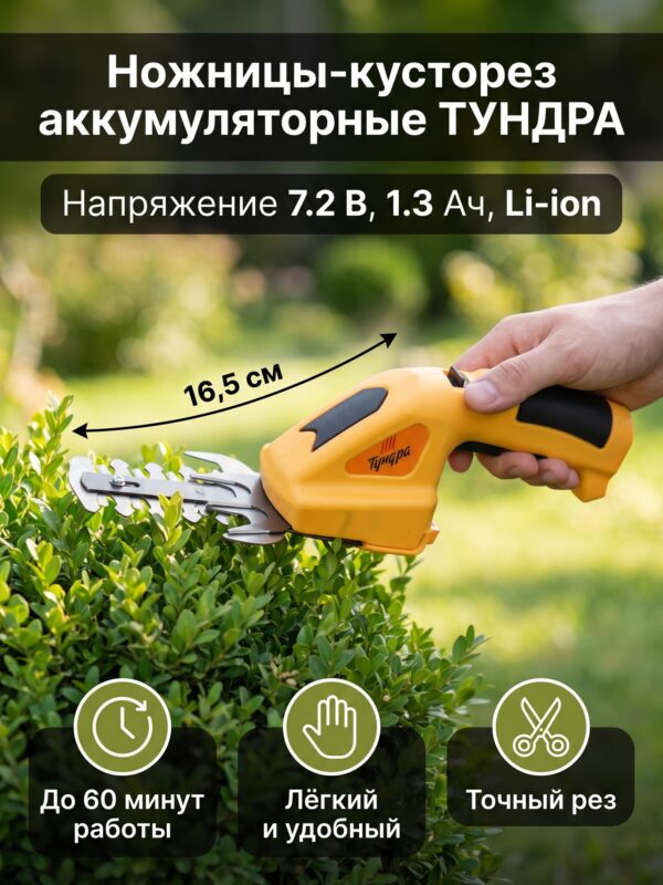 Ножницы-кусторез аккумуляторные ТУНДРА, 7.2 В Ножницы-кусторез аккумуляторные ТУНДРА, 7.2 В — карточка товара